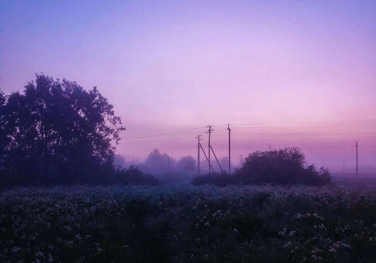 德转：日本后卫富安健洋身价下跌400万，降至800万欧