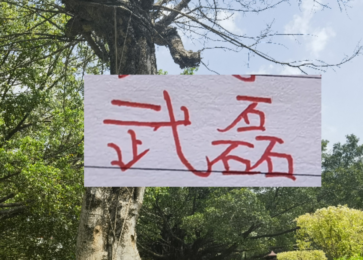 开云官网登录-2月海港就要打亚冠比赛 大概率武磊+莱昂纳多 这些一哥上不了